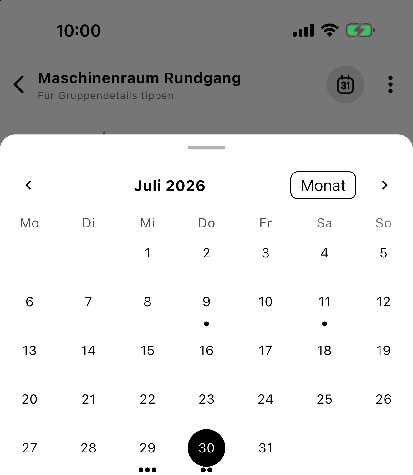 Screenshot: Geöffnete Monatsansicht mit Aktivitätsmarkierungen und ausgewähltem 30. Juli