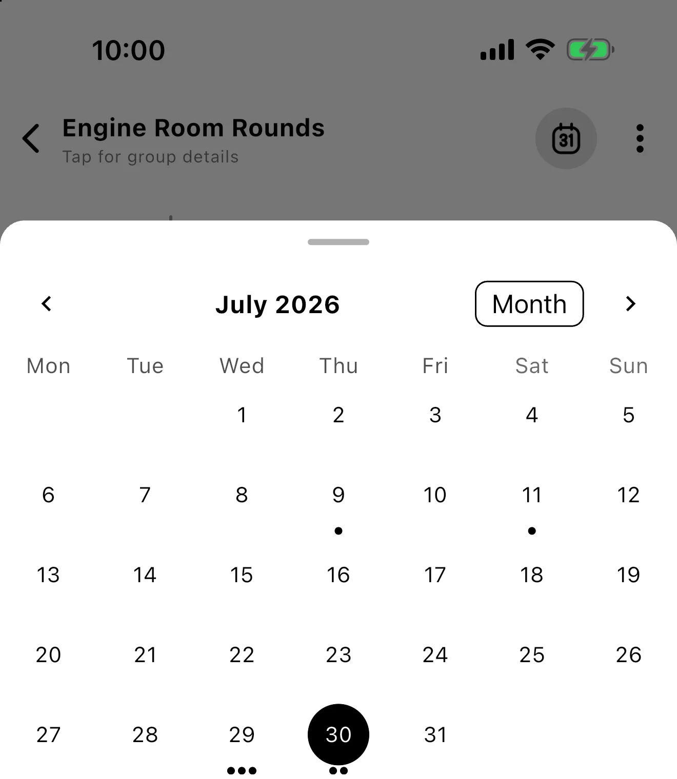 Screenshot: Open monthly calendar view with activity markers and July 30 selected