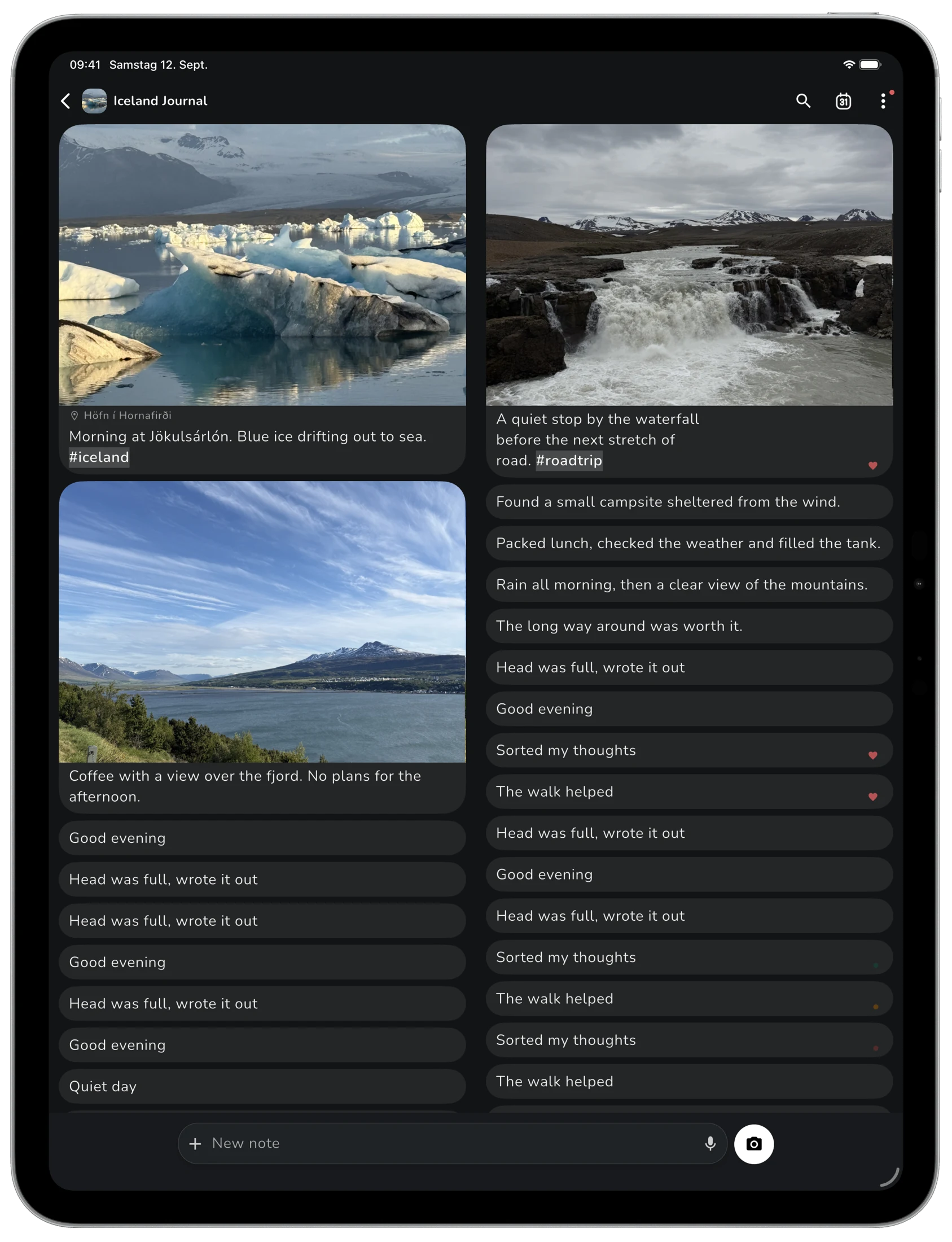 Lognote Iceland Journal in two columns on iPad Pro